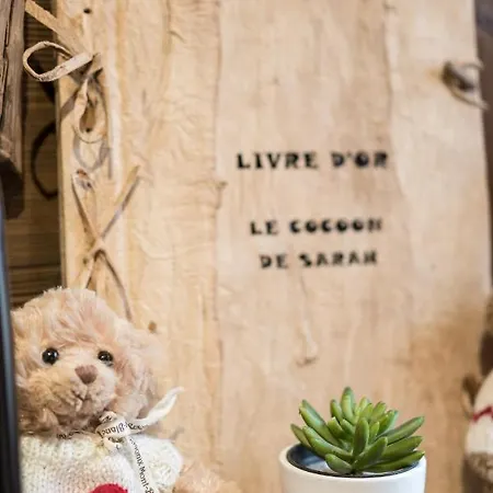 Apartamento Le Cocoon De Sarah