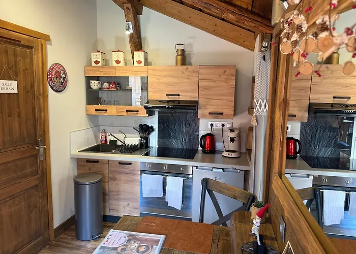 Le Cocoon De Sarah Apartmán Chamonix